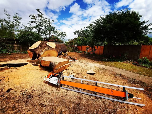 Chainsaw milling equipment beside a large cut log