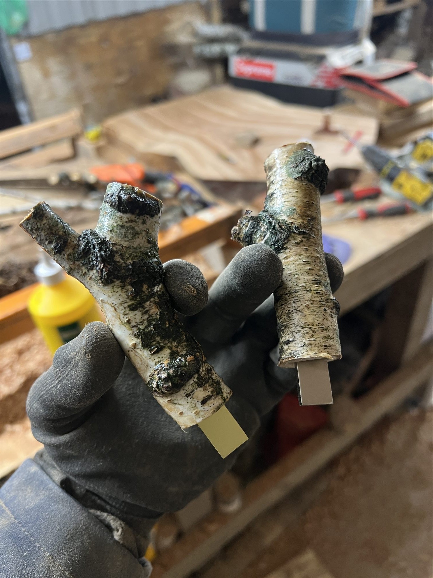 Wooden USB stick blanks held in a gloved hand