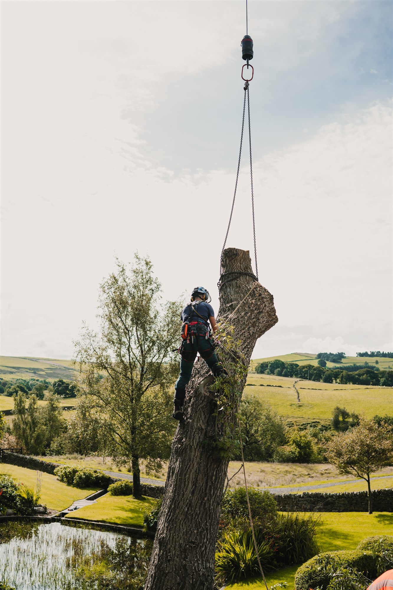 Arborist attaching a crane chain to a cut section at height
