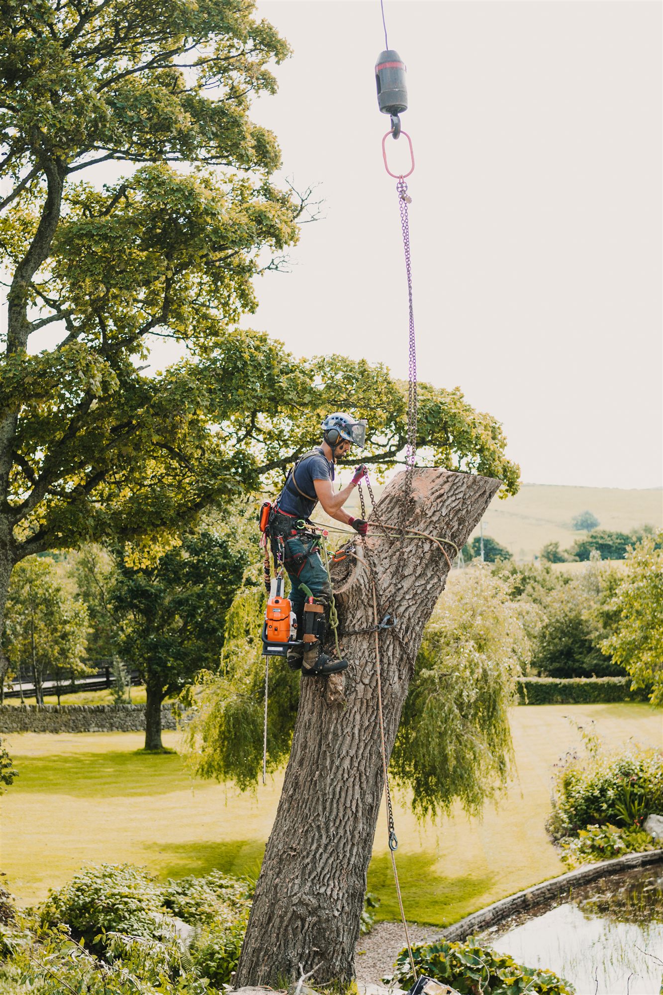 A large tree section swinging from a crane chain against the sky