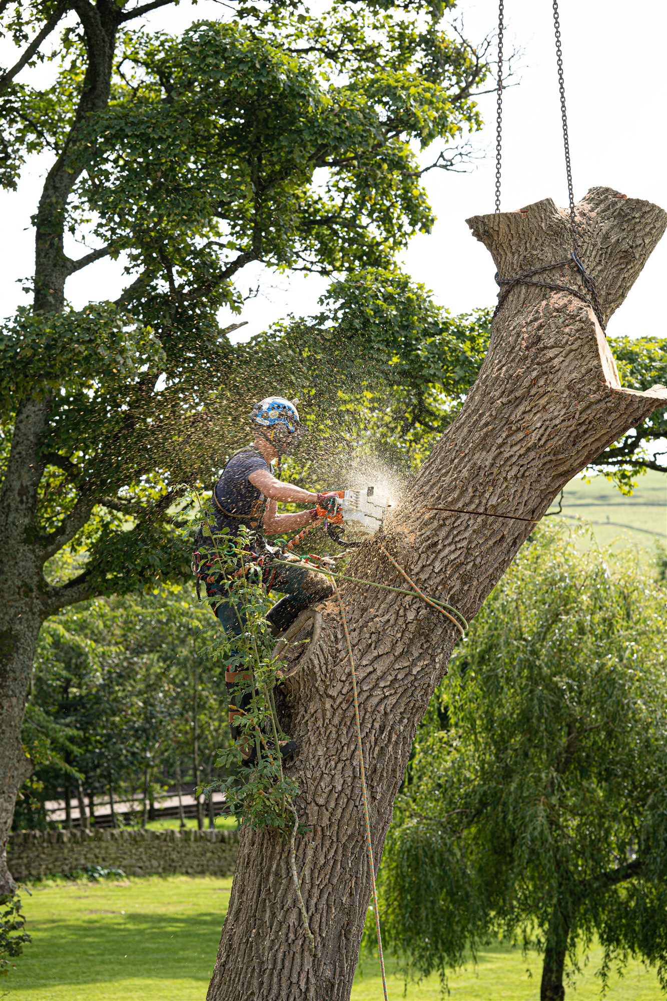 Arborist cutting a section from a tree with a chainsaw, suspended by crane chain